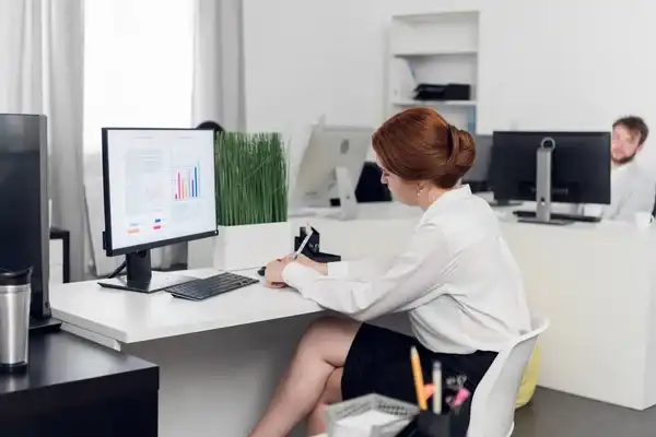 Business Data Entry
